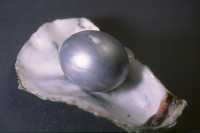 Easter Egg from 2003